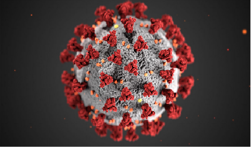 Read more about the article Coronavirus SARS-Covid-19